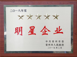常寶股份榮獲“工業(yè)五星級(jí)企業(yè)”、“納稅金獎(jiǎng)”等多項(xiàng)大獎(jiǎng)156.png